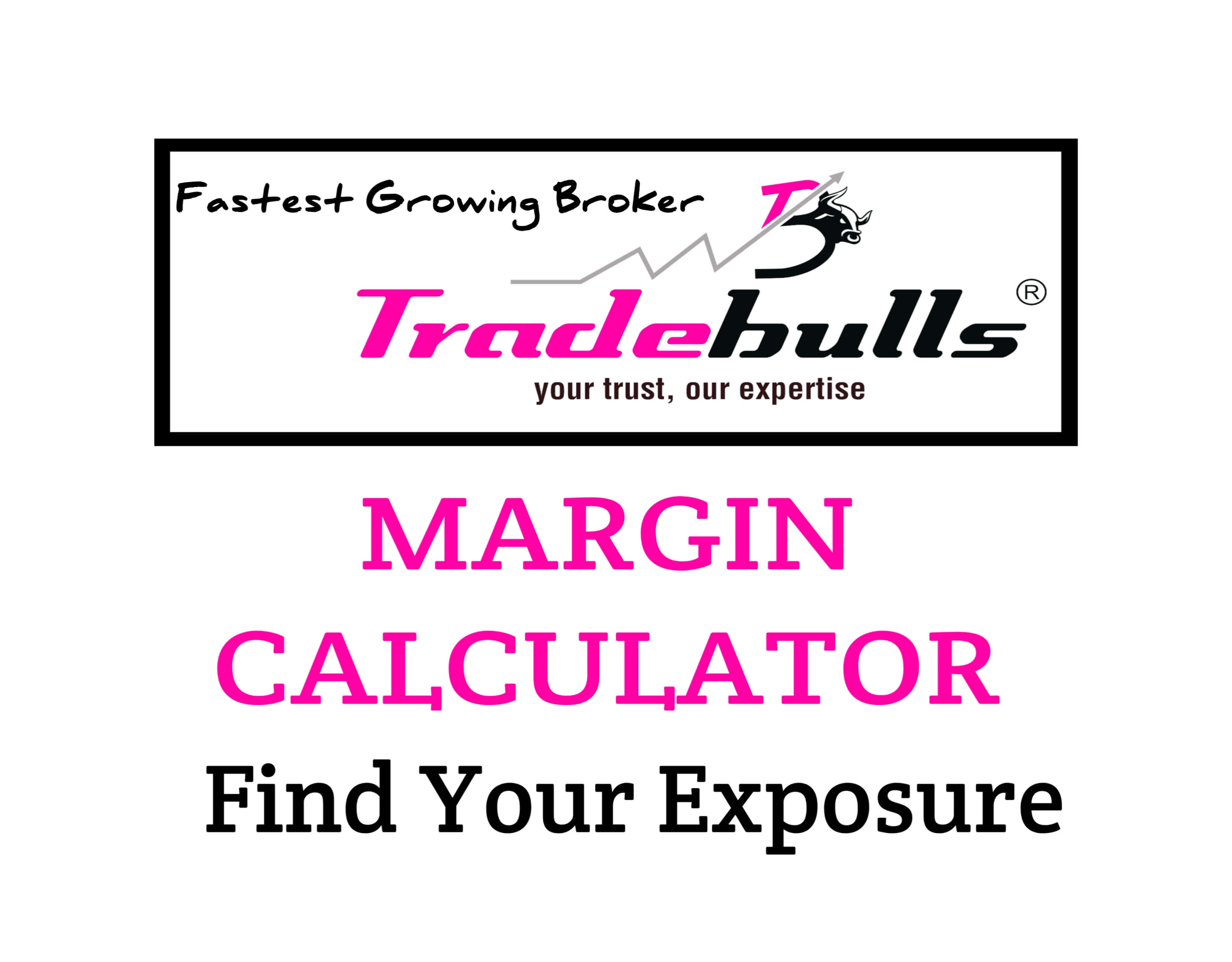 Tradebulls margin calculator