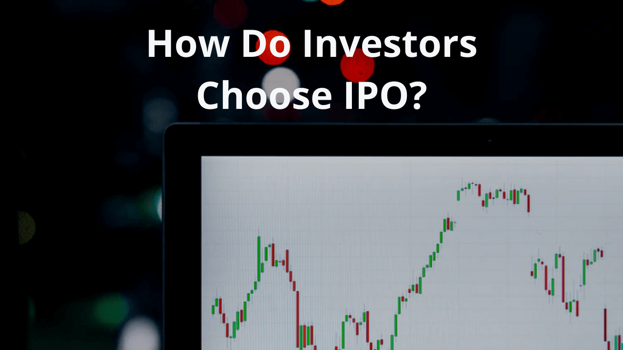 How Do Investors Choose IPO